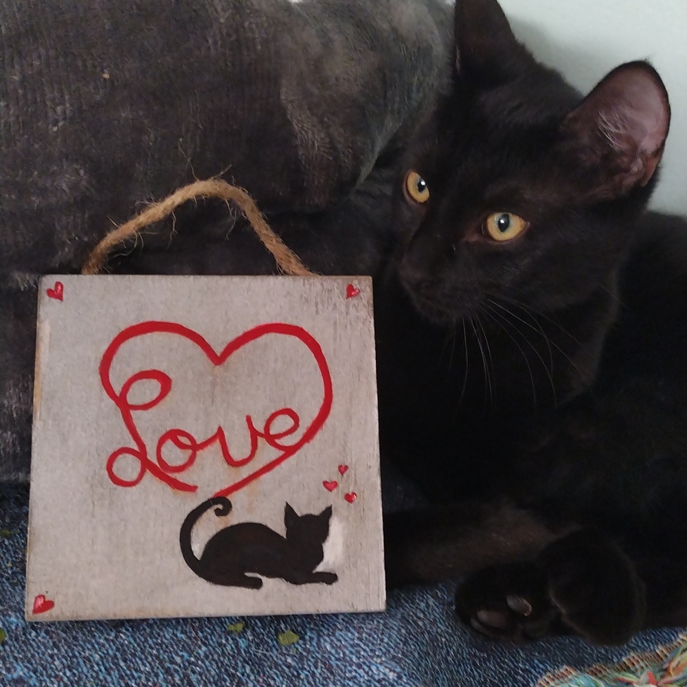 Love Cat